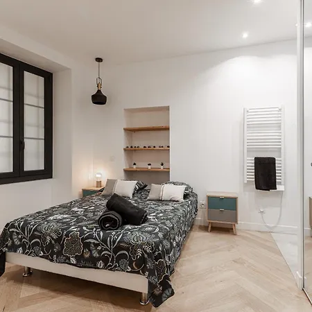Magnifique Appartement, Centre - Massena Apartment *